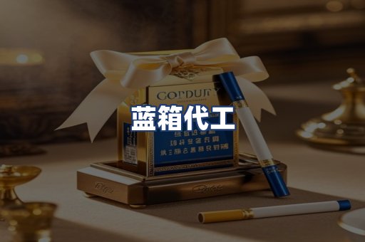 蓝箱代工